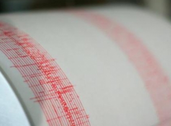 Cutremur cu magnitudinea de 3,2 in zona Vrancea