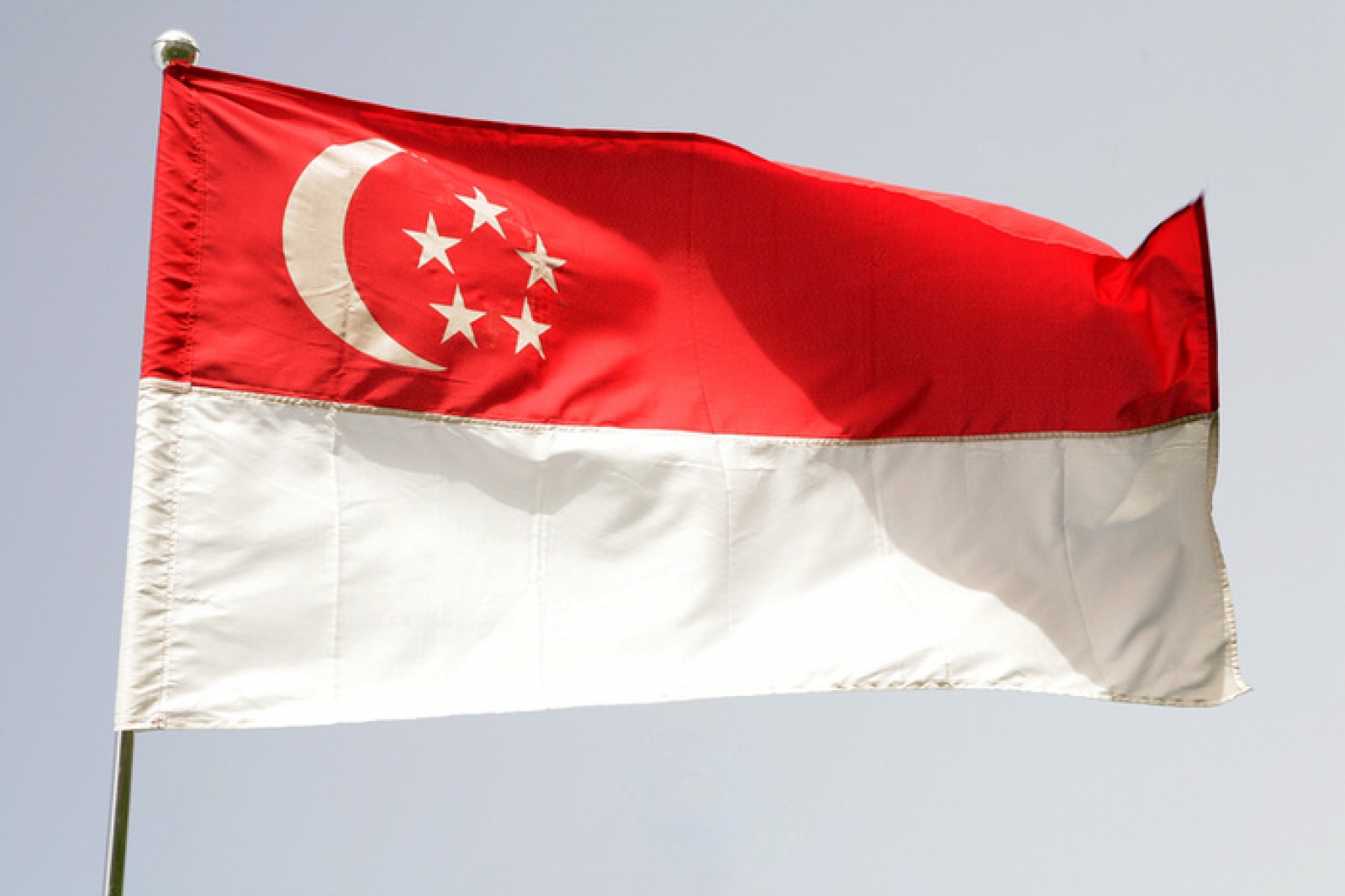 Фото флага бело красно белый. Флаг Сингапура. Сингапур флаг Сингапура. Singapur флаг. Красно белый флаг.