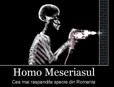  Homo Meseriasul