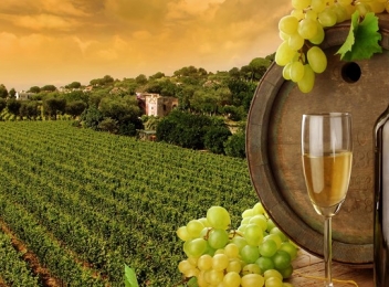Wine Tourism în România