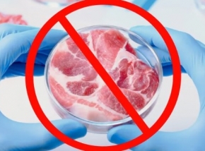 Autoritățile din Italia interzic carnea făcută în laborator 