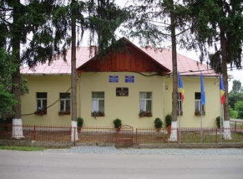 Consiliul local comuna Dumbravita