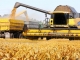 Ministrul Agriculturii a felicitat fermierii pentru recoltele obținute în „condiții extrem de grele”
