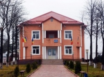 Consiliul local comuna Stanita
