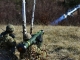 Ucraina va primi artilerie grea de la SUA, Canada și Marea Britanie