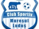 Clubul Sportiv Muresul Ludus