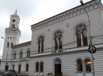 Consiliul local municipiul Vatra Dornei