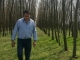 Fermier amendat de Garda de Mediu după ce a plantat pe terenul său o pădure