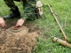 Statele Unite se gândesc să aprobe din nou utilizarea minelor anti-infanterie