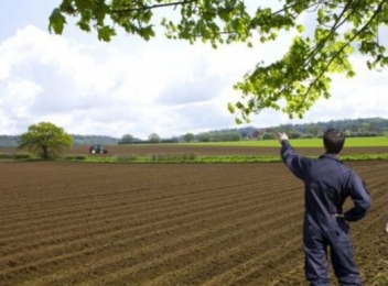 Ministerul Agriculturii oferă 50 de hectare de teren fermierilor tineri