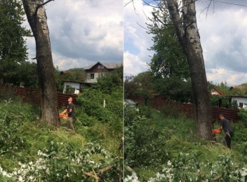  Alin Moldoveanu a luat măsuri pentru toaletarea copacilor din Poiana Câmpina
