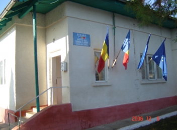Consiliul local comuna Vladeni 