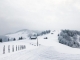 Trei locuri din Transilvania unde poți face drumeții prin zăpadă