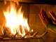 Ministrul Mediului spune ce se va întâmpla cu folosirea lemnului de foc în gospodării