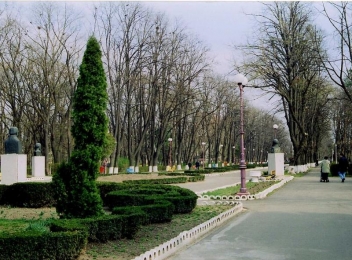 Primăria Bacău încearcă din nou să închirieze mai multe loturi de teren în Parcul Cancicov