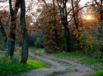 Pădurea Gârboavele, sit de importanță comunitară