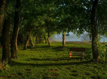 Cinci păduri în jurul Bucureștiului, ideale pentru un picnic de weekend