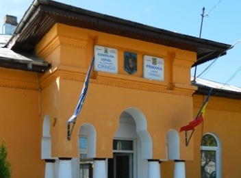 Consiliul local comuna Crangu