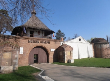 Conacul Golești sau Muzeul Viticulturii și Pomiculturii Golești