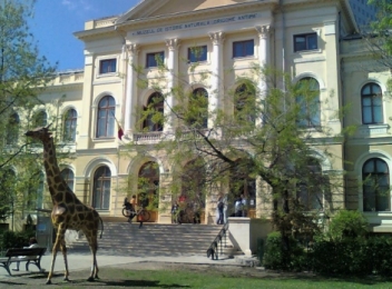 Muzeul Grigore Antipa, unul dintre cele mai importante muzee din Romania
