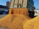 Boloș, în contextul cerealelor ucrainene: Trebuie să înăsprim măsurile de tranzitare a țării