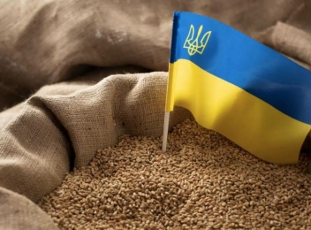 Ministru ucrainean: Doar 1-2% din cultura de grâu de iarnă a țării nu va supraviețui iernii