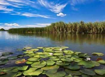 Cele mai frumoase locuri de vizitat în Delta Dunării