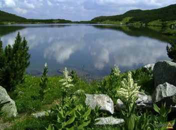 Lacul Galcescu – Perla Muntilor Parang